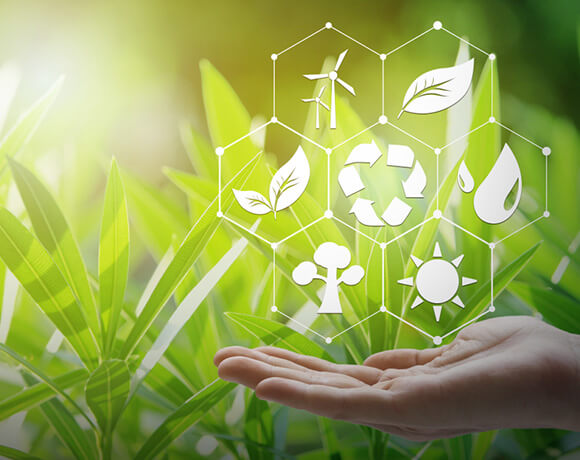 sustainability