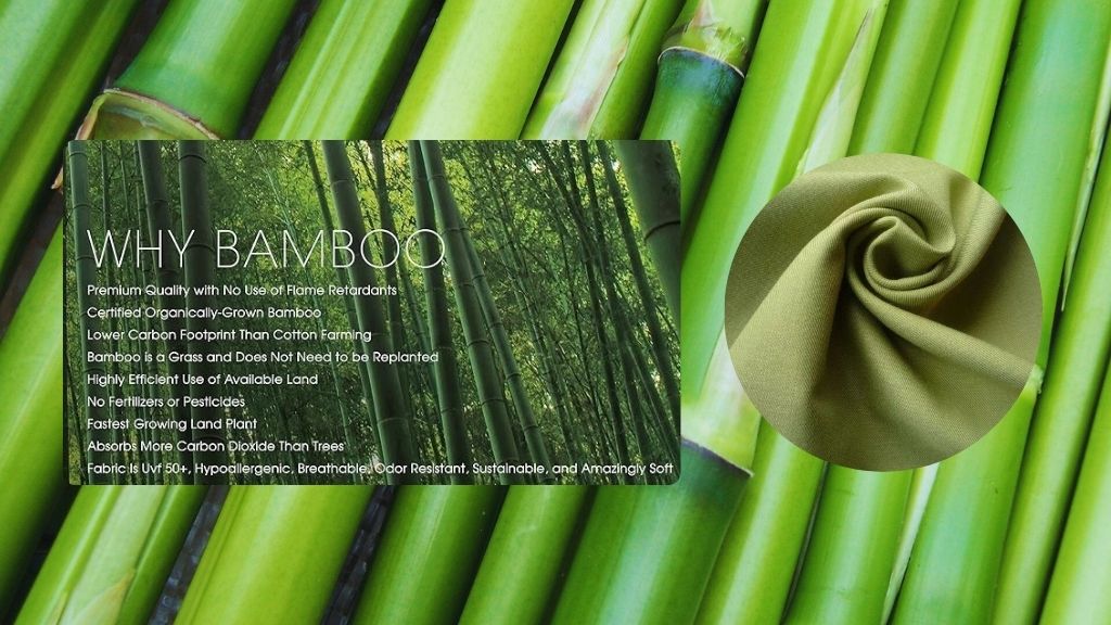 why bamboo